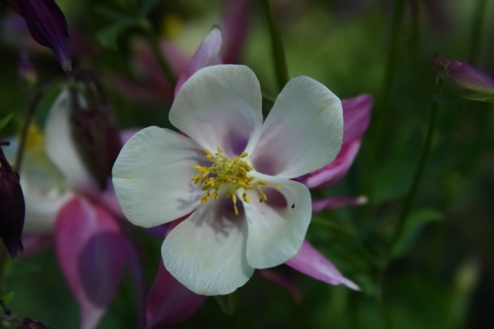 2012 05 20 3775